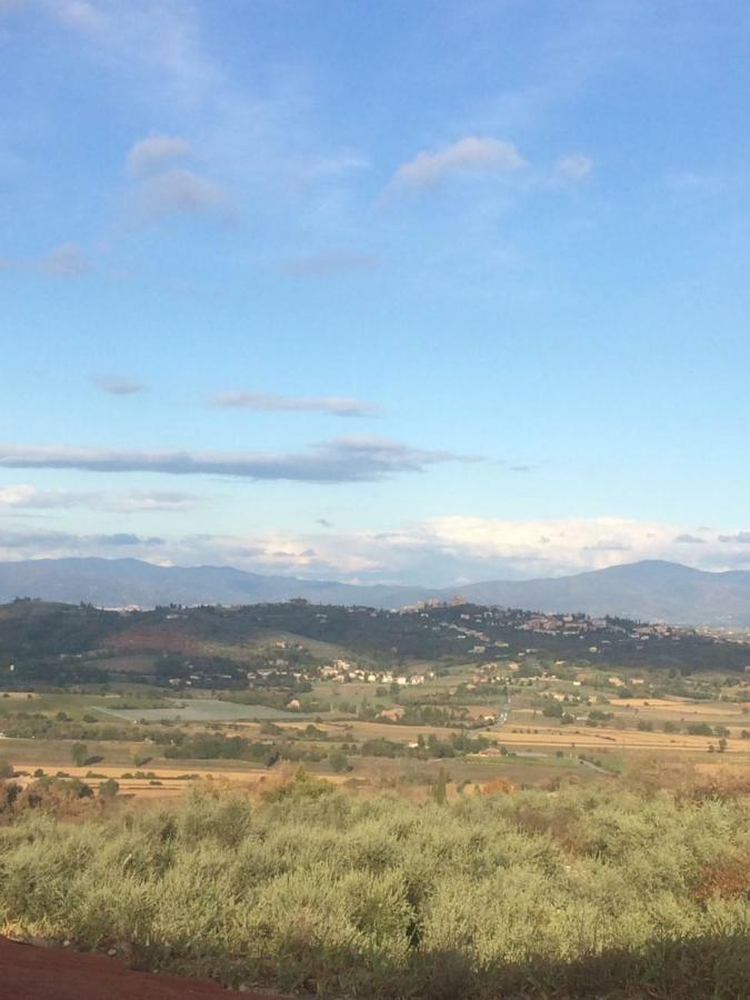 Mansarda Degli Ulivi Apartment Rigomagno Bagian luar foto