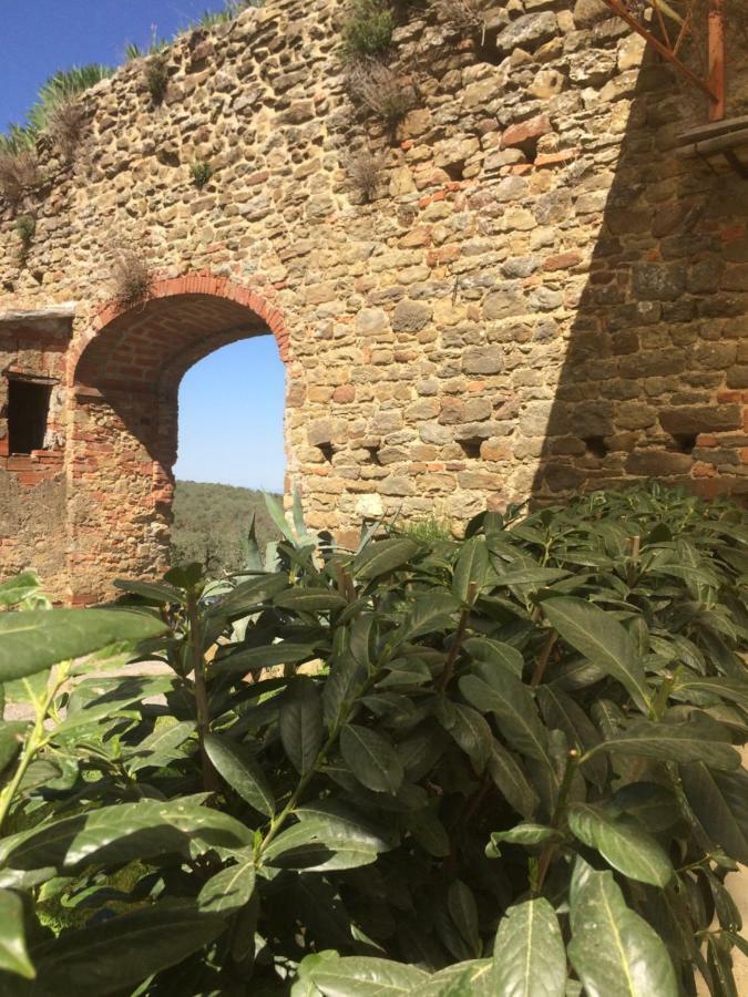 Mansarda Degli Ulivi Apartment Rigomagno Bagian luar foto