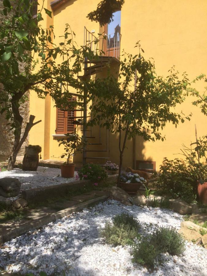 Mansarda Degli Ulivi Apartment Rigomagno Bagian luar foto