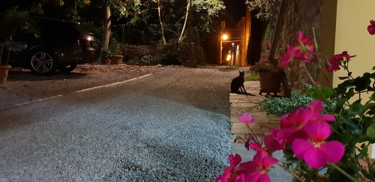 Mansarda Degli Ulivi Apartment Rigomagno Bagian luar foto